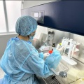 Запуск программы по HRD тестированию Запуск программы по HRD тестированию